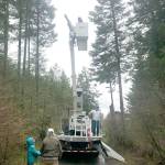 Rock Island and OIFR rescue cat from tree