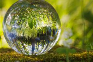 Celebrate Earth Day at the Great Islands Clean-Up