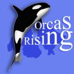 Orcas Rising show April 28