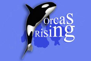 Orcas Rising show April 28