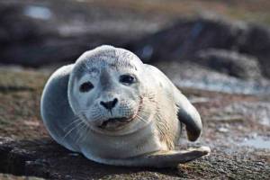 Don’t touch the seals