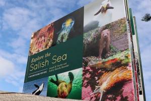 SeaDoc Society kids’ book launch Wednesday