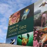 SeaDoc Society kids’ book launch Wednesday