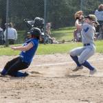 Softball, baseball teams continue to dominate