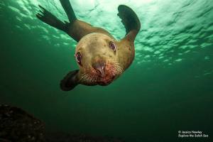 Help SeaDoc Society give Salish Sea books to students at Camp Orkila