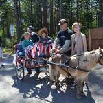 Pet parade: a Memorial Day weekend tradition