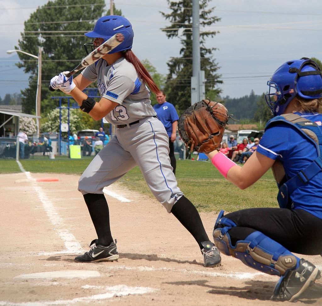 Lady Vikings softball heads to state | Boys lose at state after winning district championship