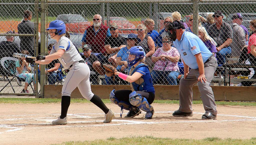 Lady Vikings softball heads to state | Boys lose at state after winning district championship