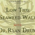 Low Tide Seaweed Walk with Ryan Drum