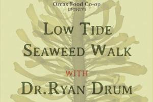 Low Tide Seaweed Walk with Ryan Drum