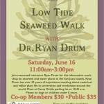 Low Tide Seaweed Walk with Ryan Drum