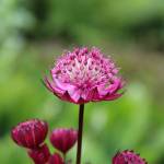 Exploring Orcas’ hidden treasures