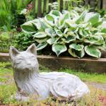 Exploring Orcas’ hidden treasures