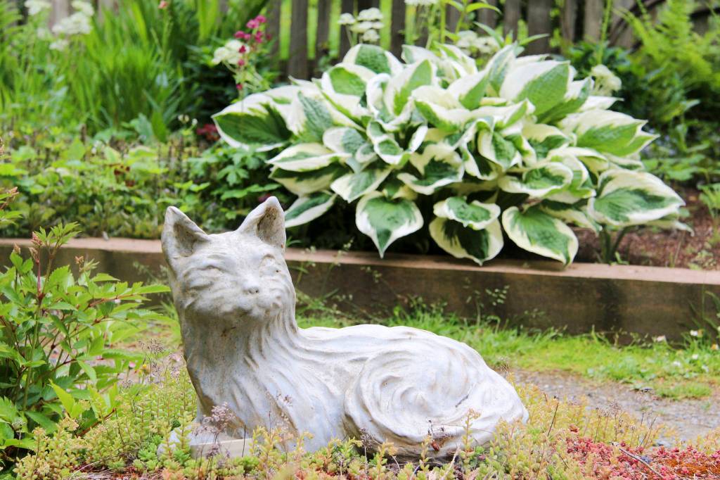 Exploring Orcas’ hidden treasures