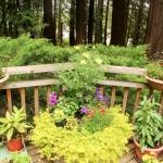 Exploring Orcas’ hidden treasures