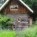 Exploring Orcas’ hidden treasures