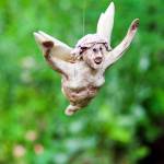 Exploring Orcas’ hidden treasures