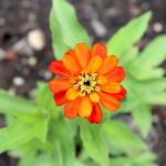 Exploring Orcas’ hidden treasures