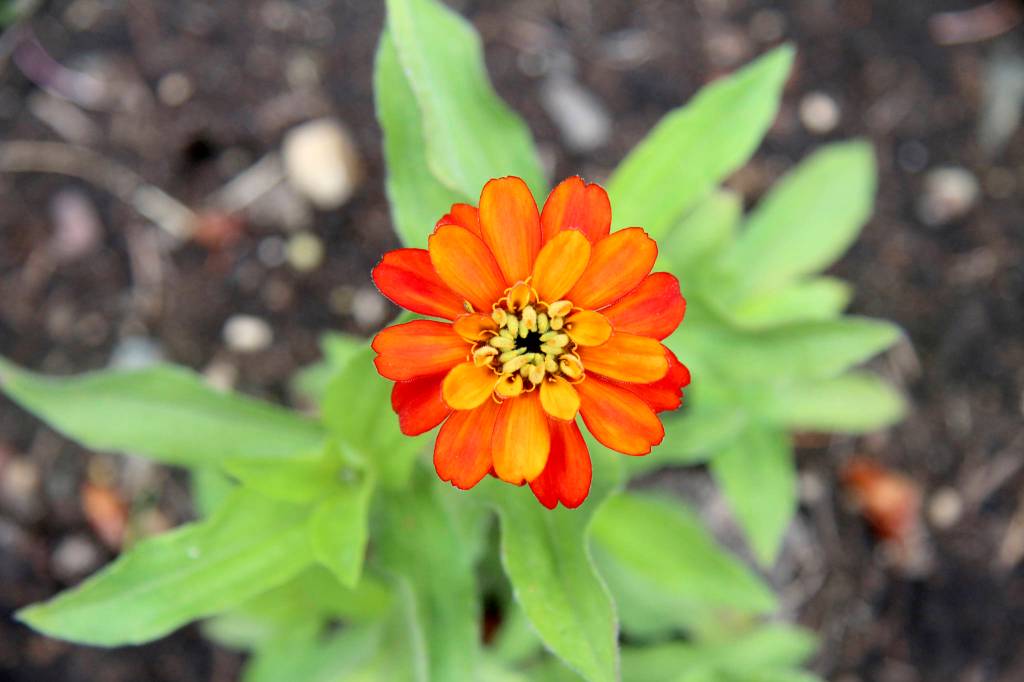 Exploring Orcas’ hidden treasures