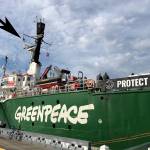 Greenpeace hoists flag in support of Orca protectors