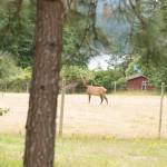 Photo by Walter Corbin