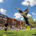 Animal shelter to host family event at Mt. Baker Farm