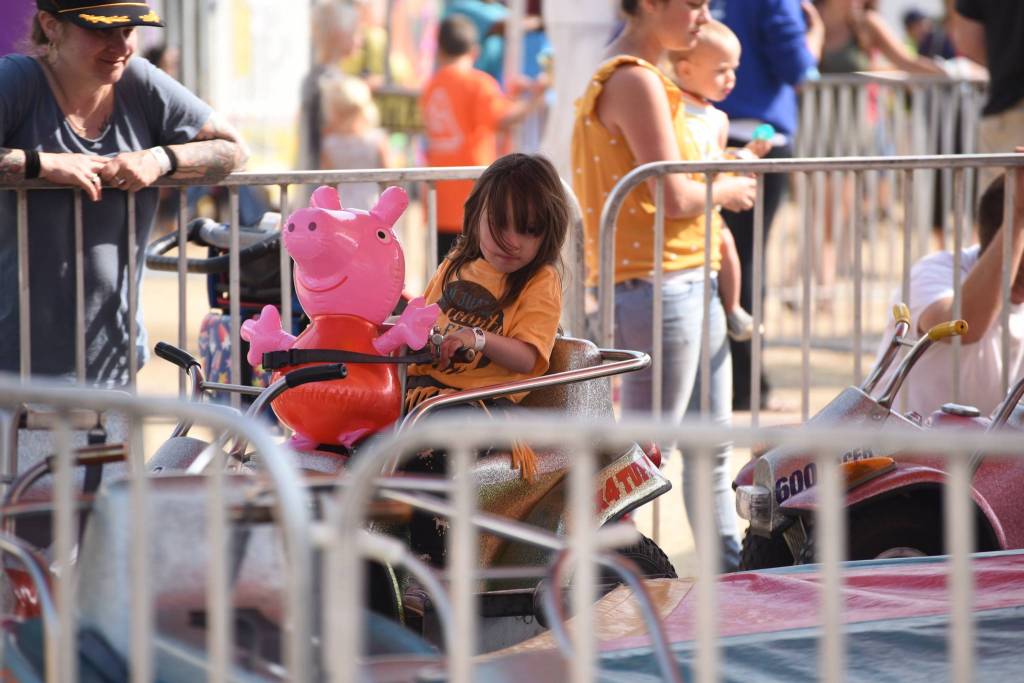 Staff photo/ Tate Thomson                                Friday: Pat Balls Riding Miss Piggy.