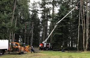Power line clearing work in progress