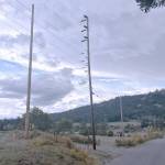 OPALCO pole replacement for Orcas Road re-alignment