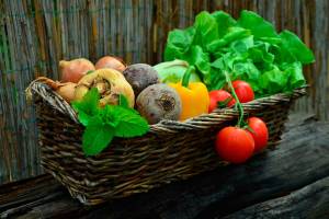 More than a dozen island farms open their gates to visitors