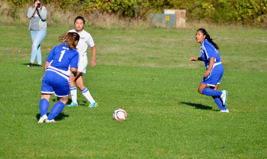 Vikings sports update | Homecoming on the way