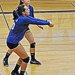 Vikings sports update