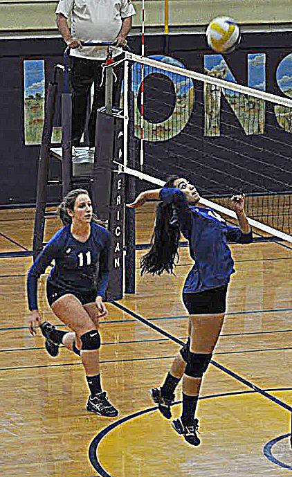 Vikings sports update