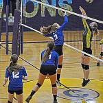 Vikings sports update