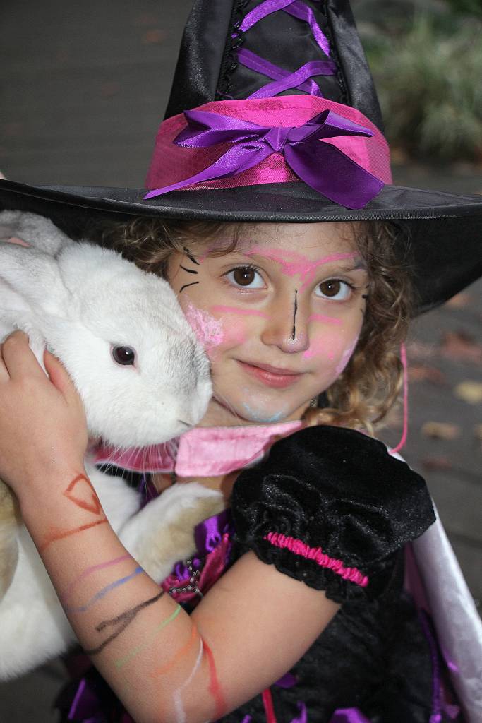 Orcas celebrates Halloween