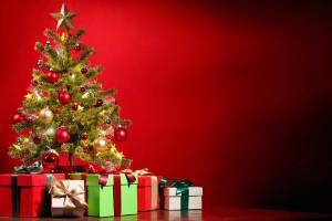 Salmonberry’s annual Christmas tree sale
