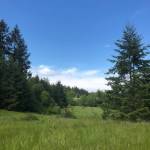 Contributed photo/Rosa Blair                                The beauty of the Ihiya biological reserve.