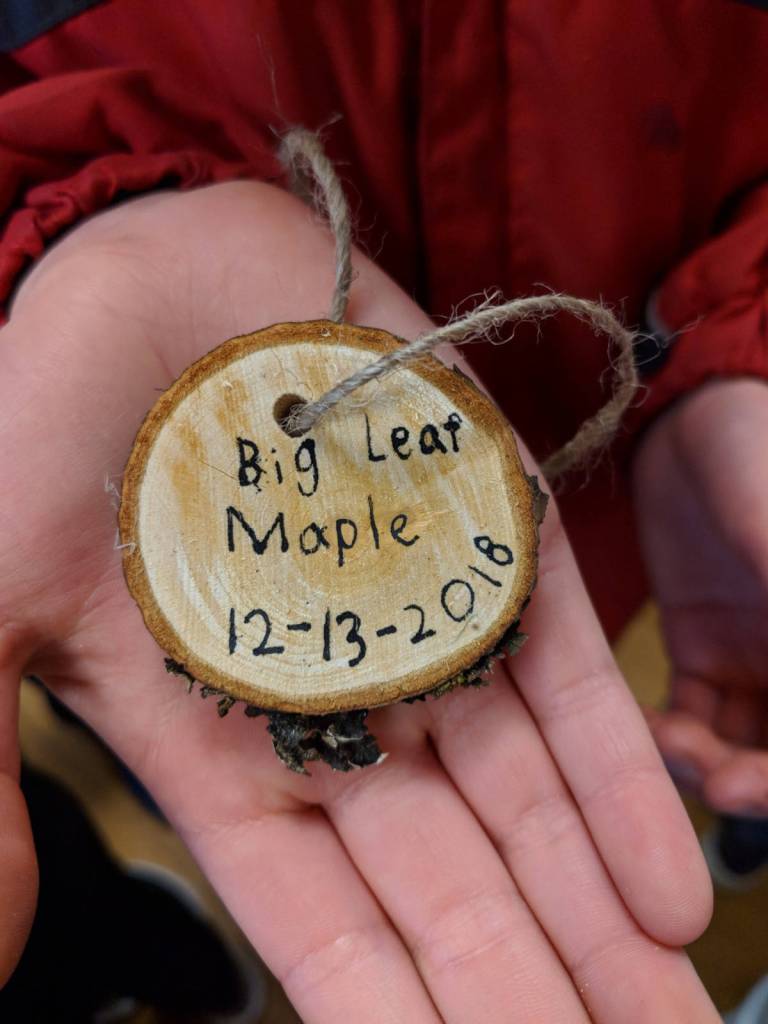 Medallions made from the branches.