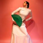 An evening of Flamenco | Venue change