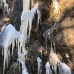 Wind storm causes massive damage to Moran State Park