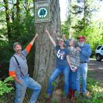WSU Extension offers forest stewardship course for property owners