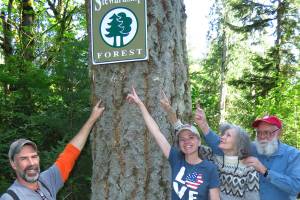 WSU Extension offers forest stewardship course for property owners