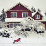 Snow days | Photos