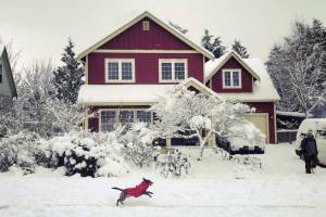 Snow days | Photos