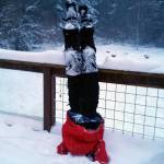 Samantha Martin photo