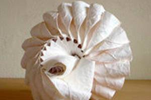 March Art Exhibit at Orcas Center; “Coming Full Circle”