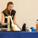 Making math fun for all