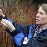 ‘Botanical Bullies and Conscientious Gardening’