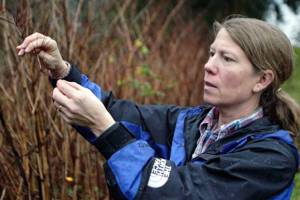 ‘Botanical Bullies and Conscientious Gardening’