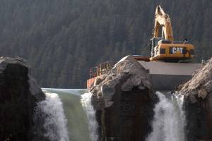 Free screening of ‘Return of the River’